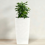 Large Self Watering Flower Pot With Drainage Holes & Inner Tray