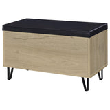Clackamas - 2 Door Storage Bench With Padded Seat