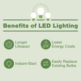 4FT T8 LED Tube - 🟢 Lighting available at Alpine Outlets in Denver