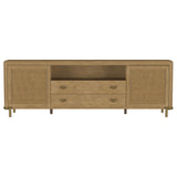 Benson - 2 Door TV Stand With Dual Drawers