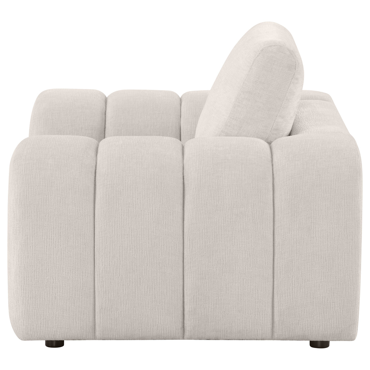 Burnett Chenille Upholstered Accent Chair in Ivory