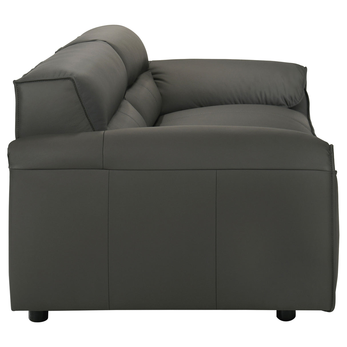 Buxton 2-Piece Leather Sofa Set in Graphite