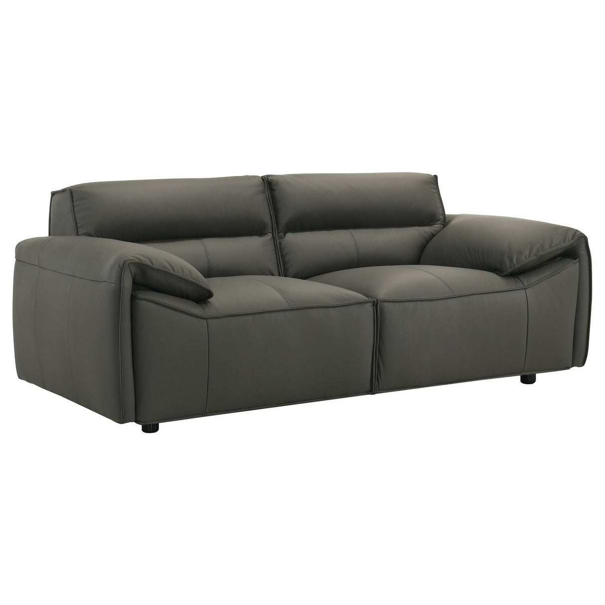 Buxton 2-Piece Leather Sofa Set in Graphite