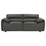 Buxton 2-Piece Leather Sofa Set in Graphite