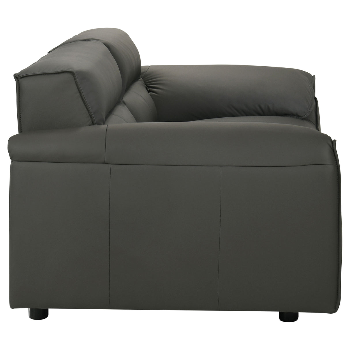 Buxton 2-Piece Leather Sofa Set in Graphite