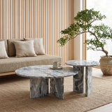 Elegant Coffee Duo Table Set