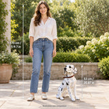 Large Dalmatian Dog Statue, Sitting Spotted Pet Sculpture For Entryway Patio - Black White