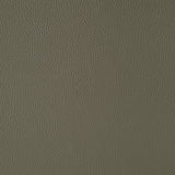 Wildcat - Motion Recliner - Gray