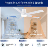 Flush Mount Ceiling Fan With Light