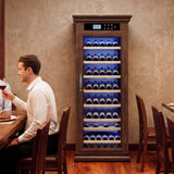 Temperature Control Professional Wine Cabinet