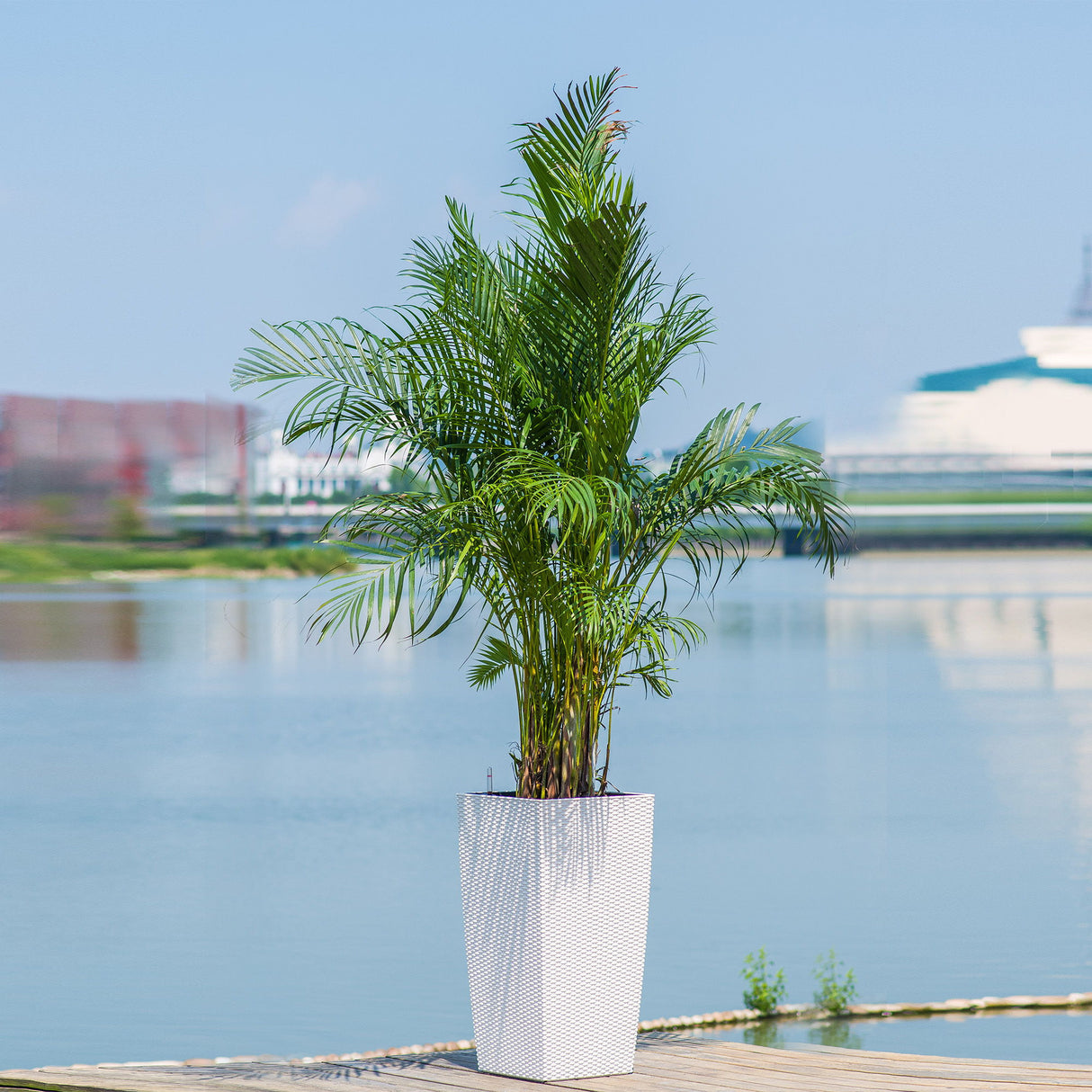 Large Self Watering Flower Pot With Drainage Holes & Inner Tray