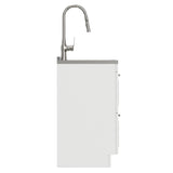 Darwin - Laundry Utility Sink And Cabinet With Dual Sinks, Pull Out Faucet - White