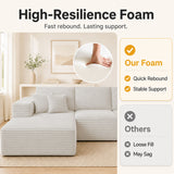 Modern L-Shaped Sectional Sofa With Left Facing Chaise