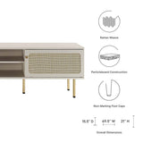 70 Inch Modern Rattan Sliding Door TV Stand - TV Stands available at Alpine Outlets in Denver