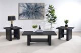 Rodez 3-Piece Black Coffee Table Set with Storage