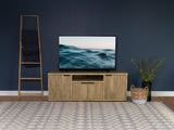 Tabby 4-Door Mango TV Stand - 60 inch