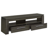 Elkton 2-Drawer Engineered Wood TV Stand, Weathered Grey