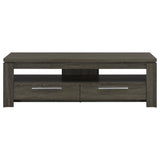 Elkton 2-Drawer Engineered Wood TV Stand, Weathered Grey