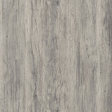 2 Door TV Stand - Driftwood