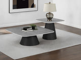 Eason 2-Piece Cocktail Coffee Table Set Concrete and Black