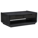 Leandro 2-Drawer Wood Cocktail Coffee Table in Burnished Black