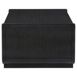 Leandro 2-Drawer Wood Cocktail Coffee Table in Burnished Black