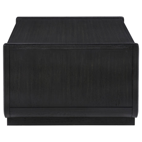 Leandro 2-Drawer Wood Cocktail Coffee Table in Burnished Black