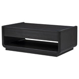 Leandro 2-Drawer Wood Cocktail Coffee Table in Burnished Black