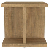 Cortona Square Mango Wood End Table with Storage