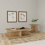 Cortona Square Mango Wood End Table with Storage