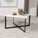Tobin Square Marble Top Coffee Table, White and Black