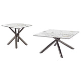 Carvell 2-Piece Square Coffee and End Table Set, Mirage White
