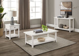 Payne 1-Drawer Wood End Table with Shelf - Distressed White