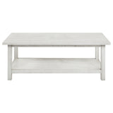 Payne Wood Coffee Table with Shelf - Distressed White