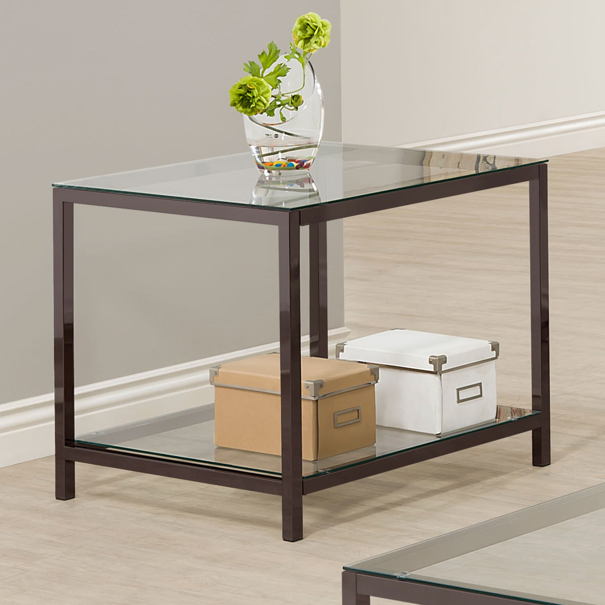 Trini 1-Shelf Glass Top Side End Table Black Nickel