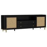 Arini Rattan Cane 2-Door TV Stand - Black with Ash Veneer