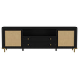 Arini Rattan Cane 2-Door TV Stand - Black with Ash Veneer