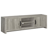 Conifer - TV Stand With Adjustable Shelves - Gray