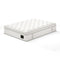 Sleep & Bedding