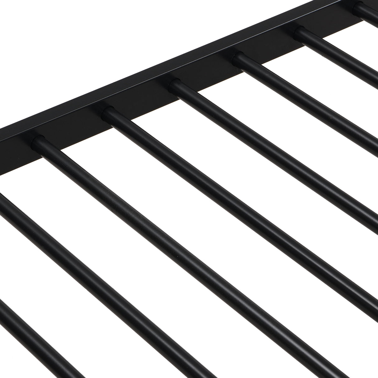 Modern Metal Bunk Bed