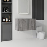 Floating Bathroom Vanity Cabinet With Soft Close Double Doors, Spacious Interior Storage, Wall Mounted, Cabinet Only