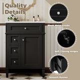 Bathroom Vanity With Top Sink, Storage Cabinet With 2 Drawers And Tip-Out Drawer
