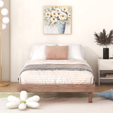 Modern Floating Platform Bed Frame