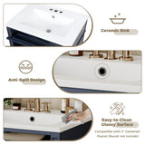 Bathroom Vanity With Top Sink, Storage Cabinet With 2 Drawers And Tip-Out Drawer