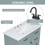 Bathroom Vanity With Sink, 2 Tip Out Drawers, Soft Close Hinges - Gray