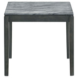 Tryon - Marble 2 Piece Coffee And End Table Set - Gray