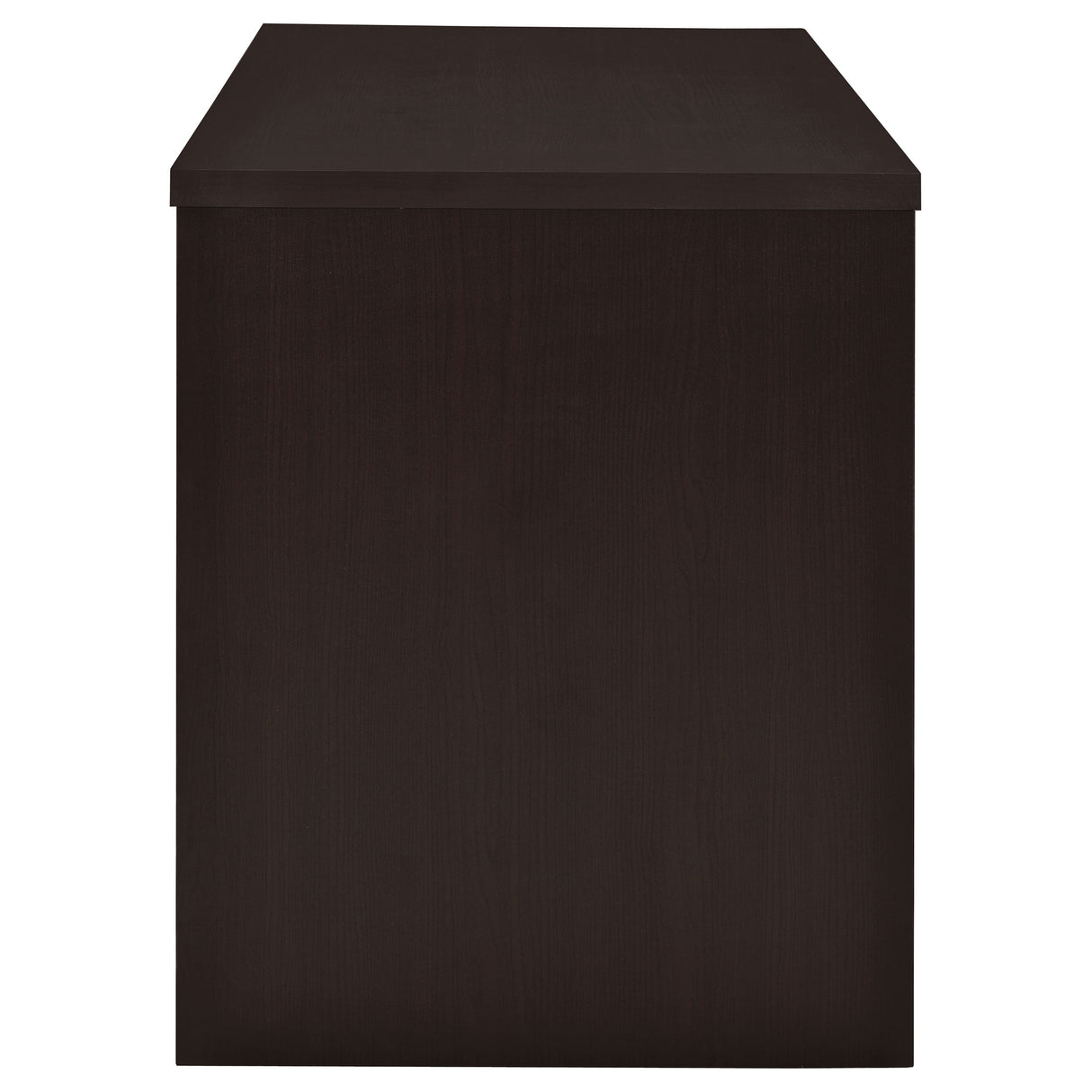 Irving 47-Inch 2-Drawer Office Desk in Cappuccino