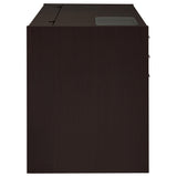 Halston 47-inch 2-Drawer Office Desk with Cabinet Cappuccino