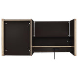 Halston 47-inch 2-Drawer Office Desk with Cabinet Cappuccino