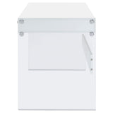 Dobrev 48-Inch 2-Drawer Writing Desk in White High Gloss
